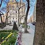 Appartement De Charme Typique Parisien -36M2- Dans Le 5E